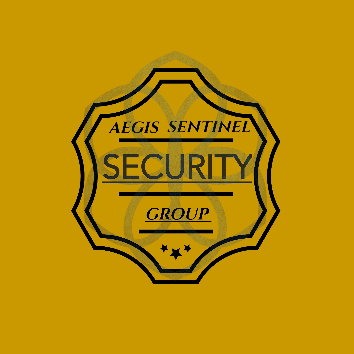 New Mexico Aegis Sentinel Group